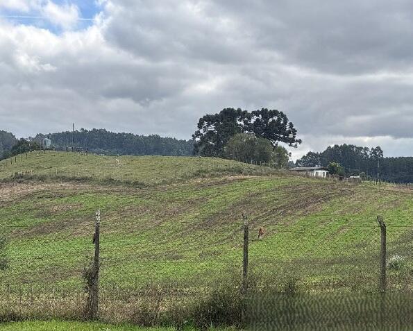 Foto 8 de 8: Area Rural em leilão em Farroupilha - RS — Imóvel Rural | Farroupilha/RS
