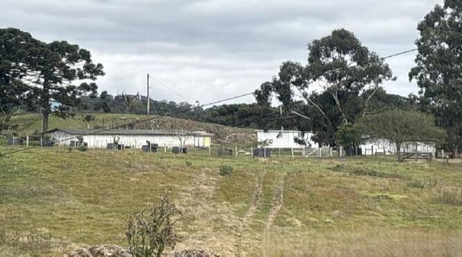 Foto 1 de 8: Area Rural em leilão em Farroupilha - RS — Imóvel Rural | Farroupilha/RS