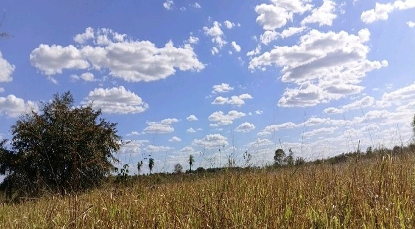 Foto 2 de 4: Area Rural em leilão em Sítio Novo - MA — Imóvel Rural | Sítio Novo/MA