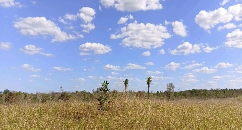 Foto 1 de 4: Area Rural em leilão em Sítio Novo - MA — Imóvel Rural | Sítio Novo/MA