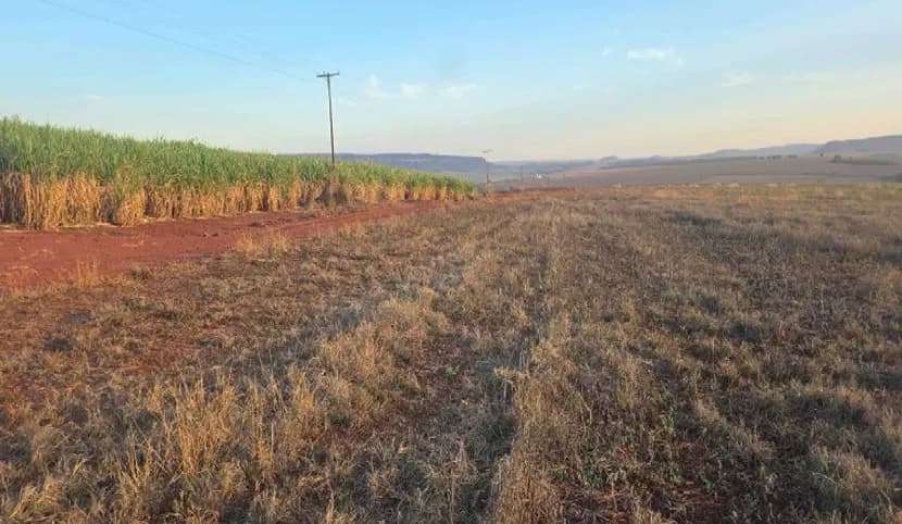 Foto 1 de 4: Area Rural em leilão em Rio Verde - GO — Imóvel Rural | Rio Verde/GO