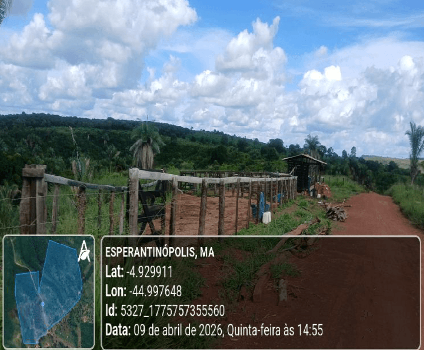 Foto 4 de 5: Area Rural em leilão em Esperantinópolis - MA — Imóvel Rural | Esperantinópolis/MA