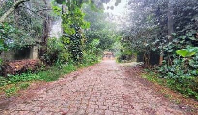 Foto 4 de 11: Casa em leilão em Mairiporã - SP, bairro Roseira — Casa | Mairiporã/SP