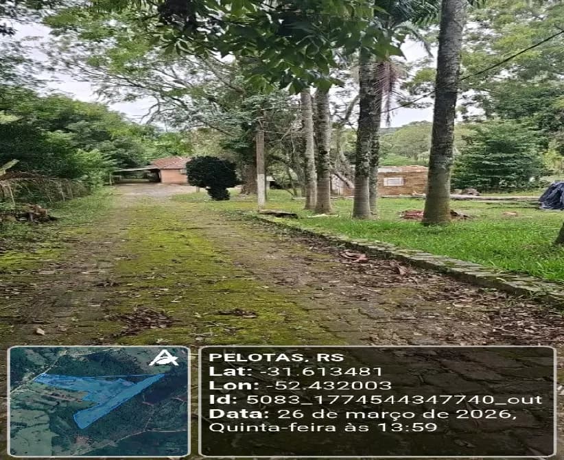 Foto 5 de 6: Area Rural em leilão em Pelotas - RS — Imóvel Rural | Pelotas/RS