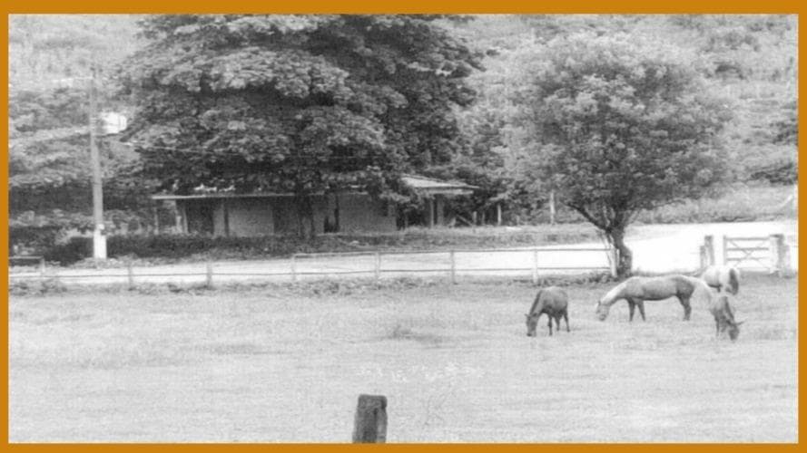 Imóvel em leilão em Teófilo Otoni - MG — Imóvel onde se localiza o Parque de Exposições "Antonio Corrêa Marques", no lugar denominado Pampulinha, Bairro São Jacinto, Teófilo Otoni/MG, com área total de 507.400,91m2.