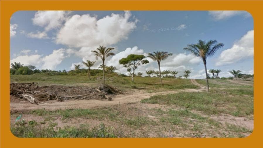 Terreno em leilão em Manaus - AM — LOTE DE TERRA Nº 09, DA QUADRA 08, GLEBA 02, SITUADO NAS VICINAIS 06, LOTEAMENTO RURAL DENOMINADO VITORIA REGIA, TEM ACESSO PELA RODOVIA BR-174, MANAUS/AM. COM ÁREA TOTAL DE 1.840,00 M².