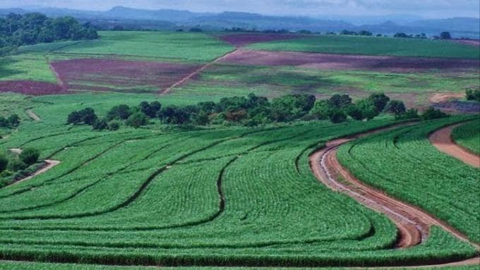 Area Rural em leilão em Santa Rita Do Passa Quatro - SP — Fazenda Taquaral 341,32 hectares - ( FALE COM O LEILOEIRO 035-99710-0861 )