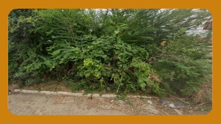 Foto 1 de 2: Terreno em leilão em Milagres - CE — - TERRENO NA RUA JOSÉ MIGUEL DE FIGUEIREDO, CENTRO, MILAGRES/CE, COM 100M². --