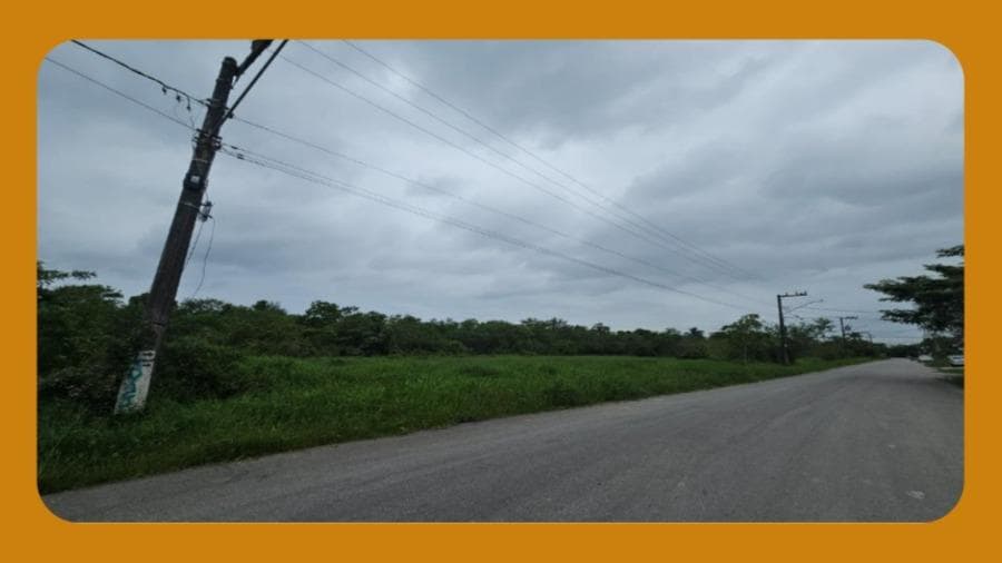Foto 1 de 2: Terreno em leilão em Itajai - SC, bairro Murta — -TERRENO SEM BENFEITORIAS, NA RUA ANNANIAS CAETANO DA SILVA, 271, MURTA, ITAJAÍ/SC, COM 7.417,50M²--