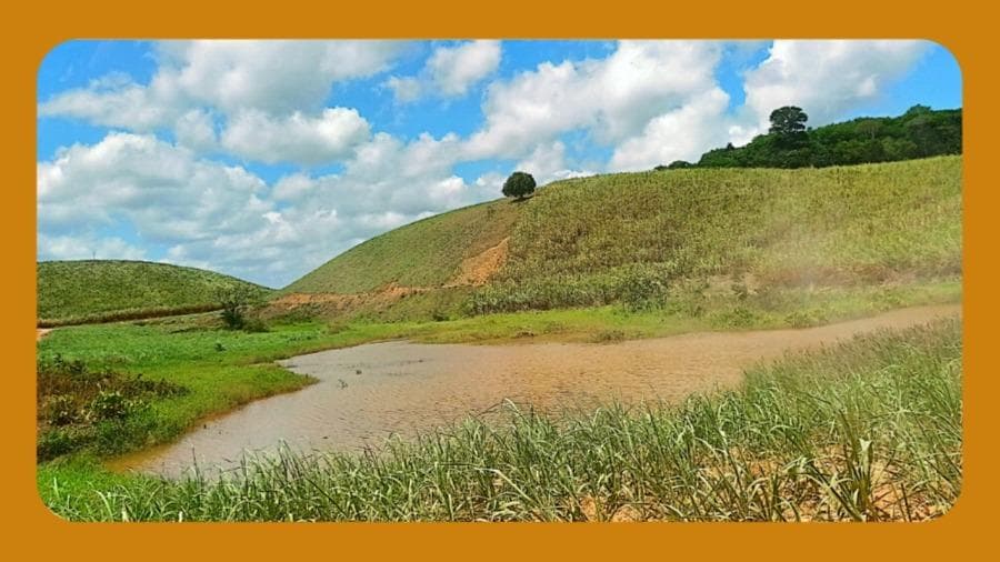 Foto 1 de 2: Imóvel em leilão em Cabo De Santo Agostinho - PE, bairro Cabo de Santo Agostinho — - ENGENHO RICO, CABO DE SANTO AGOSTINHO/PE. COM ÁREA DE 347,5 HA CADASTRADA NO INCRA SOB O Nº 110.101.550.045 --