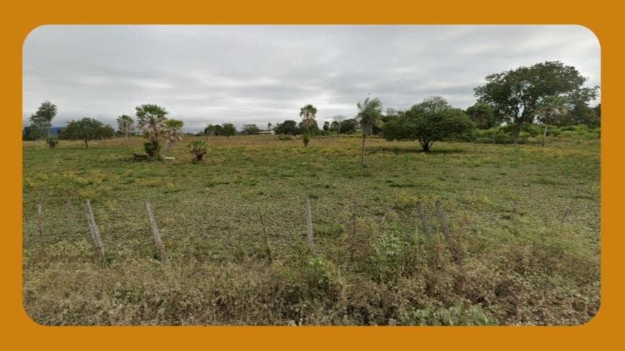 Foto 1 de 2: Imóvel em leilão em Urucuí - PI, bairro Pratinha — ÁREA DE TERRA COM 1.100,00 HECTARES, NO LUGAR DENOMINADO CHAPADA DA VEREDA GRANDE, PRATINHA, URUÇUÍ/PI__