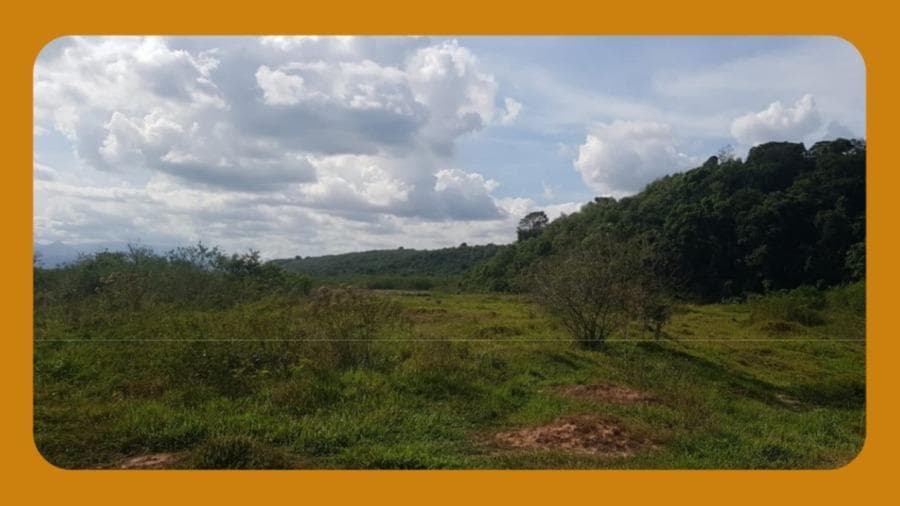 Foto 1 de 2: Terreno em leilão em Belford Roxo - RJ, bairro São Vicente — LOTE DE TERRENO RURAL Nº 531, DA 7ª GLEBA, DO NUCLEO COLONIAL SÃO BENTO, ENTRADA AO FINAL DA RUA SARGENTO JOÃO LUÍS COIMBRA, À DIREITA, BEIRANDO O RIO BOTAS, BELFORD ROXO/RJ. __