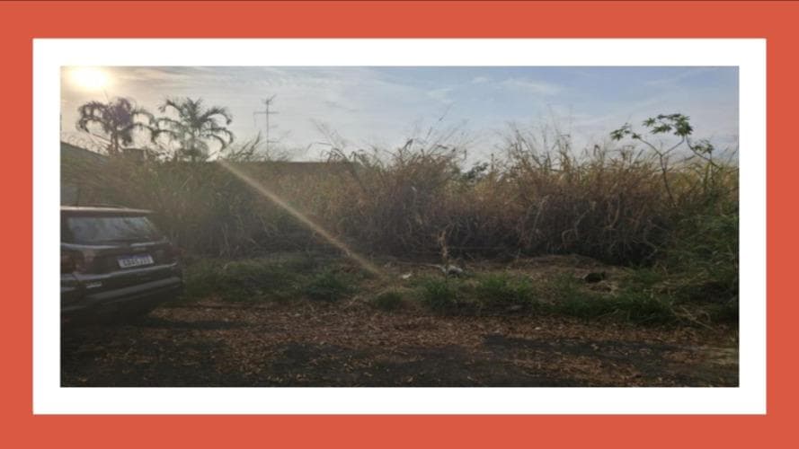 Foto 1 de 2: Terreno em leilão em Araraquara - SP, bairro Jardim Morumbi — IMÓVEL SITUADO À AVENIDA EDMUNDO LUPO S/N, LOTE 17, QUADRA 16, JARDIM MORUMBI, ARARAQUARA/SP. TERRENO SEM CONSTRUÇÃO.__