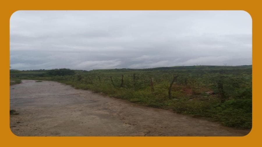 Foto 1 de 2: Terreno em leilão em Palmares - PE, bairro Palmares — UMA ÁREA DE TERRAS SEM BEFEITORIAS, DESMEMBRADA DA ÁREA MAIOR DO ENGENHO NOVA ESPERANÇA, LOCALIZADA NO KM 121 DA BR 101, PALMARES/PE. MEDINDO 3,0HECTARES.