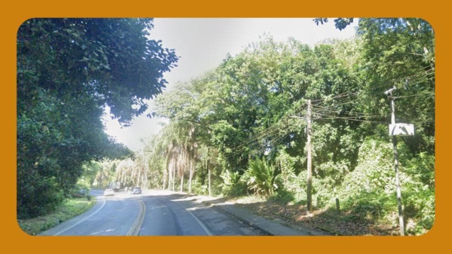 Foto 1 de 3: Area Rural em leilão em Angra Dos Reis - RJ, bairro Pontal (Cunhambebe) — IMÓVEIS NO SITIO PONTAL P09, P20 E P21, ANGRA DOS REIS/RJ__