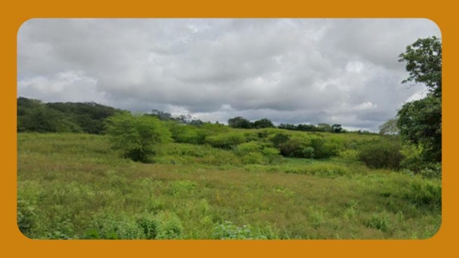 Foto 1 de 2: Terreno em leilão em Belo Jardim - PE, bairro Centro — UM TERRENO MEDINDO 1,16 HECTARES, DESMENBRADO DA PROPRIEDADE DENOMINADA FAZENDA BATINGA, NO LUGAR CAVALO MORTO, NO MUNCÍPIO DE BELO JARDIM/PE.__