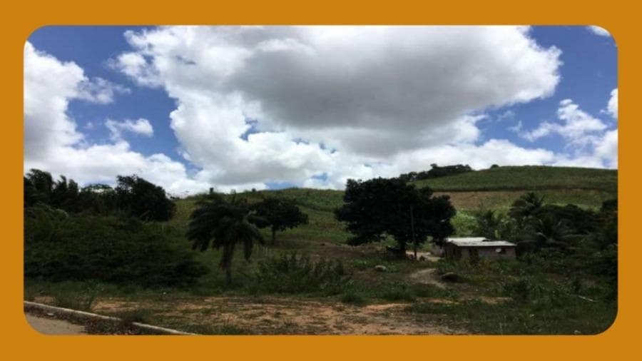 Foto 1 de 2: Imóvel em leilão em Ipojuca - PE, bairro Salgado — ENGENHO CACHOEIRA, DA PROPRIEDADE DA USINA SALGADO S/A, IPOJUCA/PE, COM ÁREA DE 943,12HA.__