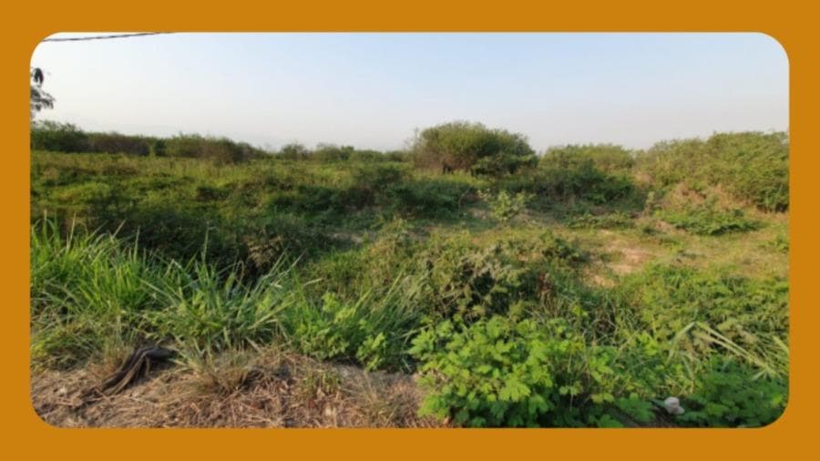 Foto 1 de 2: Terreno em leilão em Duque De Caxias - RJ, bairro Parque Barão do Amapá — LOTE DE TERRENO SOB N° 455 SEM BENFEITORIAS, ANTIGA 6ª GLEBA RURAL DO NÚCLEO SÃO BENTO, PARQUE BARÃO DO AMAPÁ, DUQUE DE CAXIAS/RJ. COM  ÁREA TOTAL DE 95.110,70 M². __