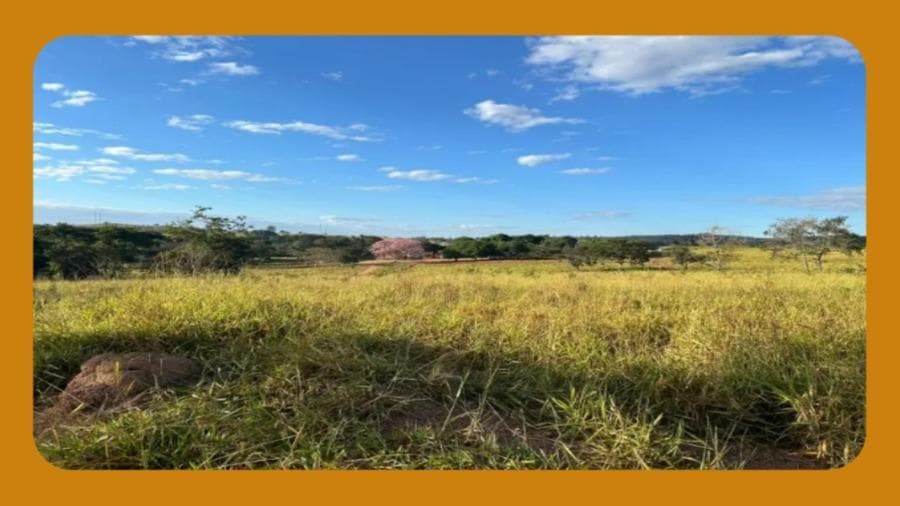 Foto 1 de 2: Area Rural em leilão em Mauriti - CE, bairro Mauriti — QUATRO PARTES DE TERRA, UMBUZEIRO, SOBRADINHO, CAIÇARA E AROEIROS, ZONA RURAL DE MAURITI/CE, COM  140,5 HECTARES, COM CASA SEDE, 03 ARMAZÉNS E 02 POÇOS. __