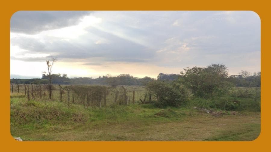 Foto 1 de 2: Area Rural em leilão em Canto Do Buriti - PI — GLEBA DE TERRAS, DENOMINADA GLEBA BURITIZAL 6, NO MUNICÍPIO DE CANTO DO BURITI/PI. COM ÁREA TOTAL DE 3.000 HECTARES.__