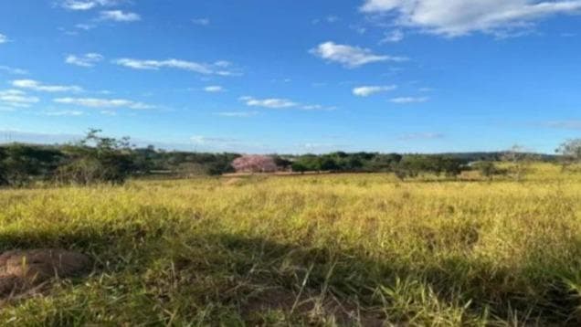 Area Rural em leilão em Campo Belo - MG — Área remanescente de 42,20,00 hectares de terras de meia cultura, no lugar denominado "Bom Jardim".