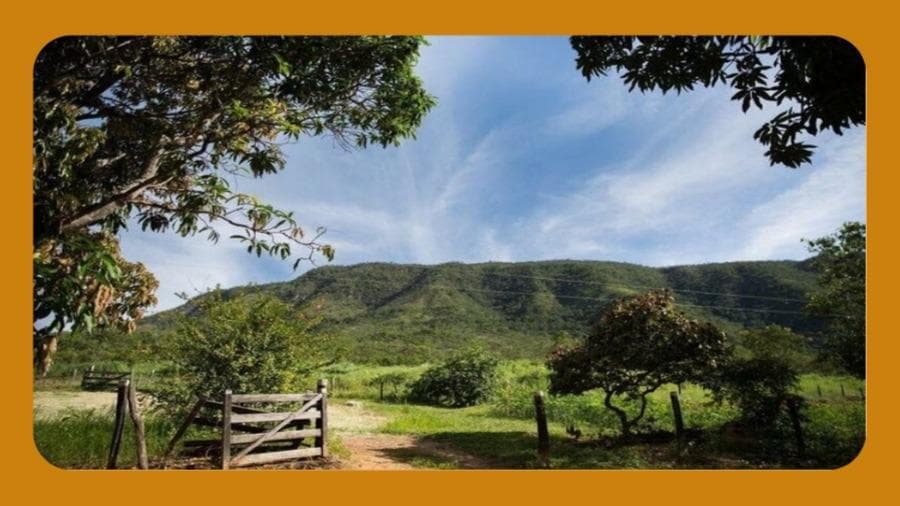 Foto 1 de 2: Area Rural em leilão em Sítio D'abadia - GO — IMÓVEL DENOMINADO FAZENDA BARREIRO, SITIO D ABADIA/GO, COM ÁREA TOTAL DE 2.305.1064HA__