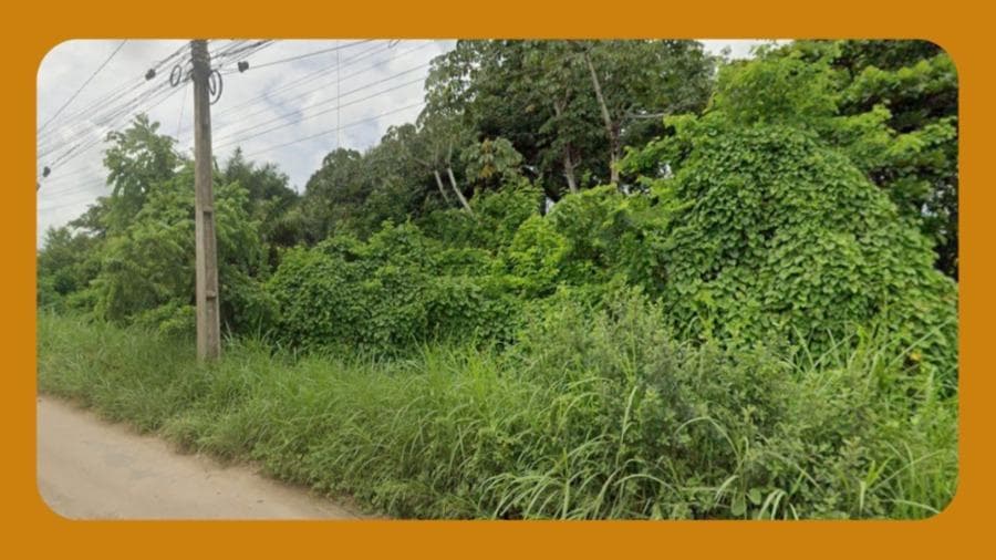 Foto 1 de 2: Terreno em leilão em Cabo De Santo Agostinho - PE — LOTE DE TERRENO C-5, MODIFICADO E UNIFICADO NO DISTRITO INDUSTRIAL DO CABO DE SANTO AGOSTINHO/PE. CONTÍGUO À PLAGON. O IMÓVEL, CONFORME RGI, MEDE 34.918M².