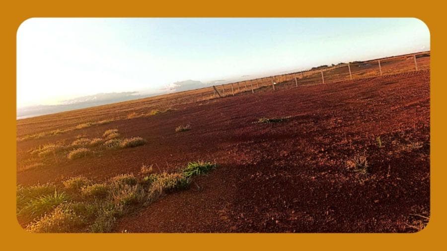 Foto 1 de 2: Terreno em leilão em Planaltina - GO — LOTE DE TERRENO N°17, NA QUADRA 923, SEM BENFEITORIAS, DO LOTEAMENTO SÃO GABRIEL DE GOIÁS, NA RUA 50, PLANALTINA GOIÁS/GO. COM ÁREA TOTAL DE 460,80 M².__