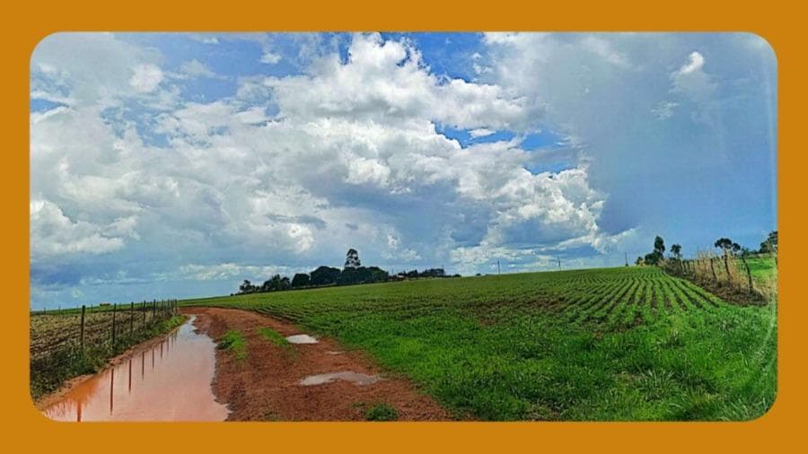 Foto 1 de 2: Terreno em leilão em Planaltina - GO — LOTE DE TERRENO N°12, NA QUADRA 413, SEM BENFEITORIAS, DO LOTEAMENTO SÃO GABRIEL DE GOIÁS, NA RUA 19, PLANALTINA GOIÁS/GO. COM ÁREA TOTAL DE 518,40 M².__