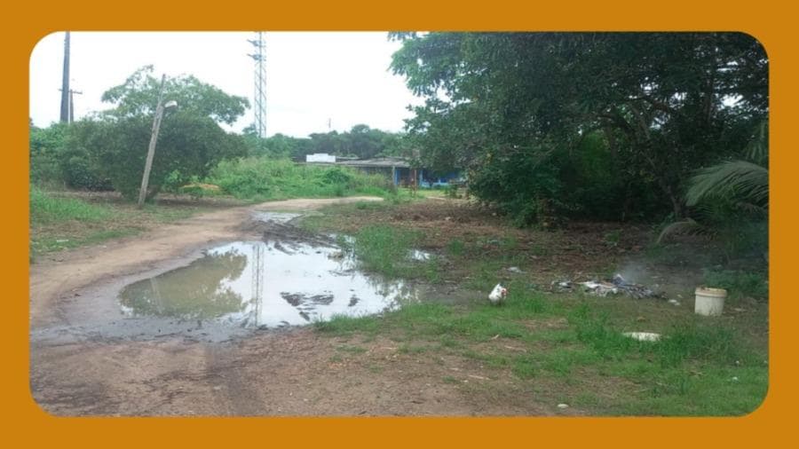 Foto 1 de 2: Imóvel em leilão em Macapá - AP, bairro Fazendinha — IMÓVEL URBANO SOB O N. 05, LOCALIZADO NO POLO HORTIFRUTIGRANJEIRO EM FAZENDINHA, MUNICÍPIO DE MACAPÁ/AP, COM UMA ÁREA DE 03.3604 HA.__