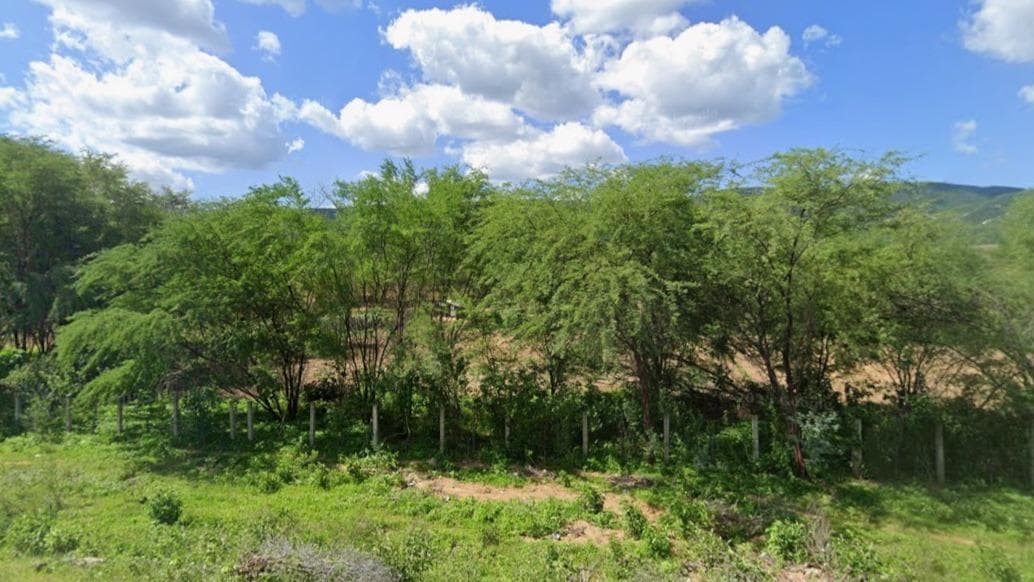 Foto 1 de 2: Area Rural em leilão em Areia De Baraúnas - PB — Imóvel Rural, 1007ha, Areia de Baraúna/PB