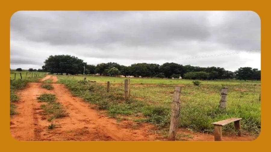Foto 1 de 2: Area Rural em leilão em Promissão - SP, bairro Douradinho — 50% DE UM IMÓVEL RURAL COM ÁREA DE 4,1574 ALQUEIRES, NO SITIO SÃO JOÃO, LOCALIZADO NO BAIRRO DOURADINHO, PROMISSÃO/SP.__