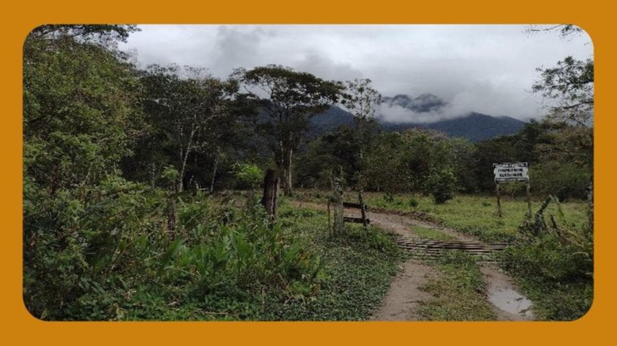 Foto 1 de 2: Area Rural em leilão em Angra Dos Reis - RJ — ÁREA REMANESCENTE M-03, ORIUNDA DO DESDOBRAMENTO DA ÁREA DENOMINADA YBIRÁ, ORIUNDA DO DESMEMBRAMENTO DA FAZENDA PALMITAL, SITUADA EM MAMBUCABA, 4º DISTRITO DE ANGRA DOS REIS-RJ, COM 85,8685 HECTARES DE ÁREA --