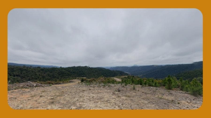 Foto 1 de 2: Area Rural em leilão em Rio Do Campo - SC — TERRENO RURAL, SITUADO EM RIO AZUL, MUNICÍPIO E COMARCA DE RIO DO CAMPO/SC, CONTENDO A ÁREA DE 109,2 HECTARES.__