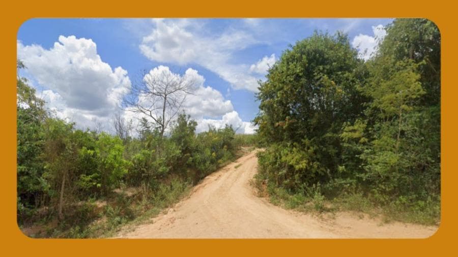 Foto 1 de 2: Area Rural em leilão em Encruzilhada - BA — IMÓVEL RURAL DENOMINADO FAZENDA ALVORADA, SITUADO NA ZONA DO CÓRREGO DA GALANTE, NO MUNICÍPIO DE ENCRUZILHADA/BA. COM ÁREA DE 28,9424 HECTARES. CONTENDO BENFEITORIAS DE PASTAGENS NATIVAS, PLATAÇÕES DE EUCALIPTOS, MATOS, CAPOEIRAS E CERCAS. __