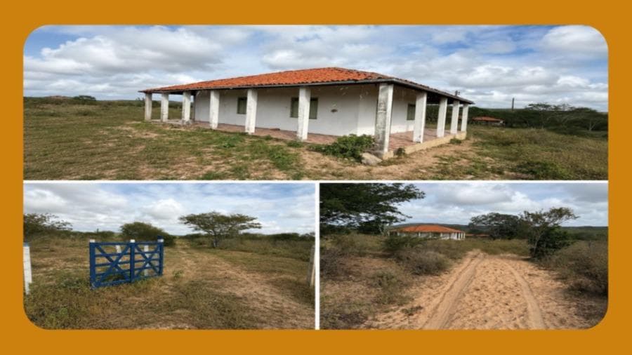 Foto 1 de 4: Area Rural em leilão em Santa Brígida - BA — FAZENDA PITOMBEIRA (ATUALMENTE FAZENDA VENTUROSA), NA ZONA RURAL DO MUNICIPIO DE SANTA BRIGIDA/BA. O IMÓVEL REPRESENTA UMA FAIXA DE 400 TAREFAS OU 133 HECTARES.__