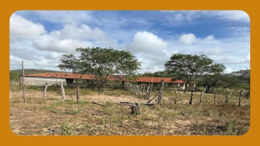 Foto 2 de 4: Area Rural em leilão em Santa Brígida - BA — FAZENDA PITOMBEIRA (ATUALMENTE FAZENDA VENTUROSA), NA ZONA RURAL DO MUNICIPIO DE SANTA BRIGIDA/BA. O IMÓVEL REPRESENTA UMA FAIXA DE 400 TAREFAS OU 133 HECTARES.__