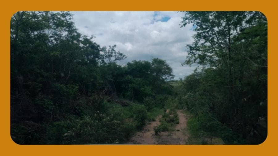 Foto 1 de 3: Area Rural em leilão em Pesqueira - PE — IMÓVEL RURAL, LOCALIZADO NO MUNICÍPIO DE PESQUEIRA/PE. O IMÓVEL SE ENCONTRA EM SUA MAIOR FRAÇÃO COBERTO POR VEGETAÇÃO LOCAL, TENDO APENAS O VÉRTICE DO AÇUDE ALVORADA INGRESSADO DENTRO DA PROPRIEDADE. ÁREA TOTAL DE 358,60 HECTARES.