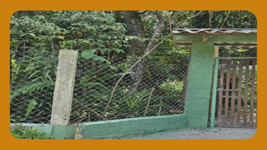 Foto 1 de 2: Terreno em leilão em São Bernardo Do Campo - SP, bairro Tatetos — IMÓVEL NA RUA LONTRA, 305, TATETOS, SÃO BERNARDO DO CAMPO/SP. TERRENO DESIGNADO COMO SENDO À SERVIDÃO DE PASSAGEM N 03, COM ÁREA DE 1.000 METROS QUADRADOS, SOBRE O IMÓVEL EXISTE UMA PEQUENA CONSTRUÇÃO, A ÁREA ESTÁ MURADA E TEM PORTÃO.__