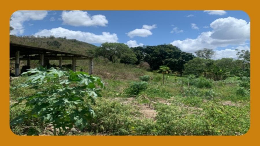 Foto 1 de 2: Terreno em leilão em Guarabira - PB, bairro Centro — UMA PARTE DE TERRAS, ENCRAVADAS NO LUGAR DENOMINADO LAGES, PILÕEZINHOS/PB, MEDINDO 3,0 HECTARES E TREZE METROS DE FRENTE POR DOZE METROS DE FUNDO, POSSUINDO EDIFICAÇÕES/GALPÕES E 01 CASA.__