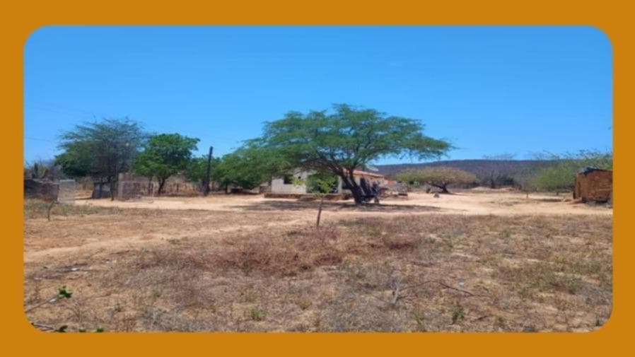 Foto 1 de 2: Area Rural em leilão em Araripina - PE — GLEBA DE TERRAS COM BENFEITORIA DE 2 CASAS, LOCALIZADA NO SÍTIO ALAGOINHA, ARARIPINA/PE. ÁREA TOTAL DE 3,0 HECTARES__