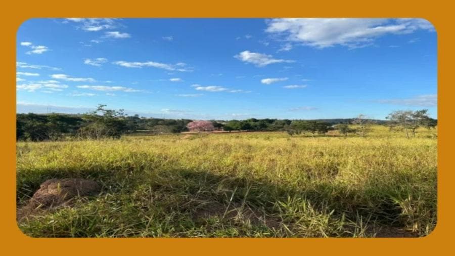 Foto 1 de 2: Terreno em leilão em Mirim Doce - SC — TERRENO RURAL, REPRESENTADO PELO LOTE 09, DISTANDO 15KM DA SEDE DO MUNICÍPIO DE MIRIM DOCE/SC, NA LOCALIDADE DE CAMINHO DA SERRA, CONTENDO ÁREA DE 250.000,00M².__