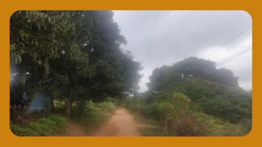 Foto 1 de 2: Area Rural em leilão em Tianguá - CE — IMÓVEL RURAL COMPOSTO POR DUAS ÁREAS CONTÍGUAS QUE FORMAM UM ÚNICO CORPO, LOCALIZADO NOS SÍTIOS ARATICUM E SANTO REIS, NO MUNICÍPIO DE TIANGUÁ/CE, COM ÁREA TOTAL DE 35,13 HECTARES__