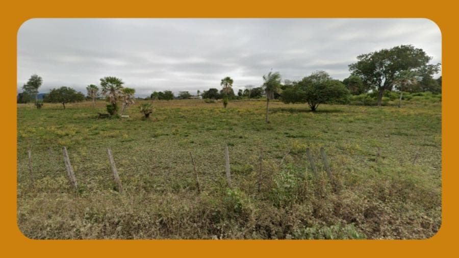 Foto 1 de 2: Area Rural em leilão em Araripina - PE, bairro Centro — GLEBA DE TERRAS, SITUADA NO SÍTIO ALAGOINHA, ZONA RURAL, ARARIPINA/PE. COM ÁREA DE 5,00HA (CINCO HECTARES).__