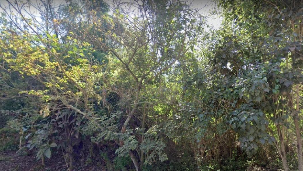 Area Rural em leilão em Espírito Santo Do Pinhal - SP — Gleba 1 - Espírito Santo do Pinhal - SP