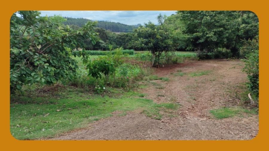Foto 2 de 5: Area Rural em leilão em Santa Izabel Do Oeste - PR — LOTE RURAL Nº 178, DA GLEBA 33-AM DO NÚCLEO AMPÉRE, DA COLÔNIA MISSÕES DO MUNICÍPIO DE SANTA IZABEL DO OESTE/PR. COM UMA ÁREA TOTAL DE 29.000M². __
