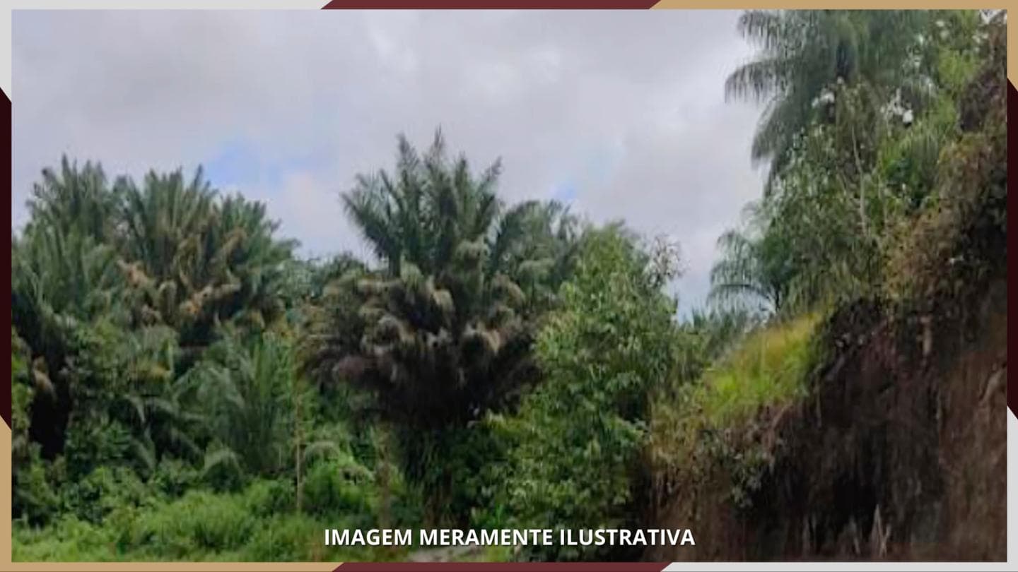 Foto 1 de 2: Area Rural em leilão em Jaboatão Dos Guararapes - PE — Imóvel Rural, denominado Gleba nº 04, da 2ª parte do antigo Engenho Manassú e suas benfeitorias, com área de 61,7200 hectares, Jaboatão dos Guararapes/ PE