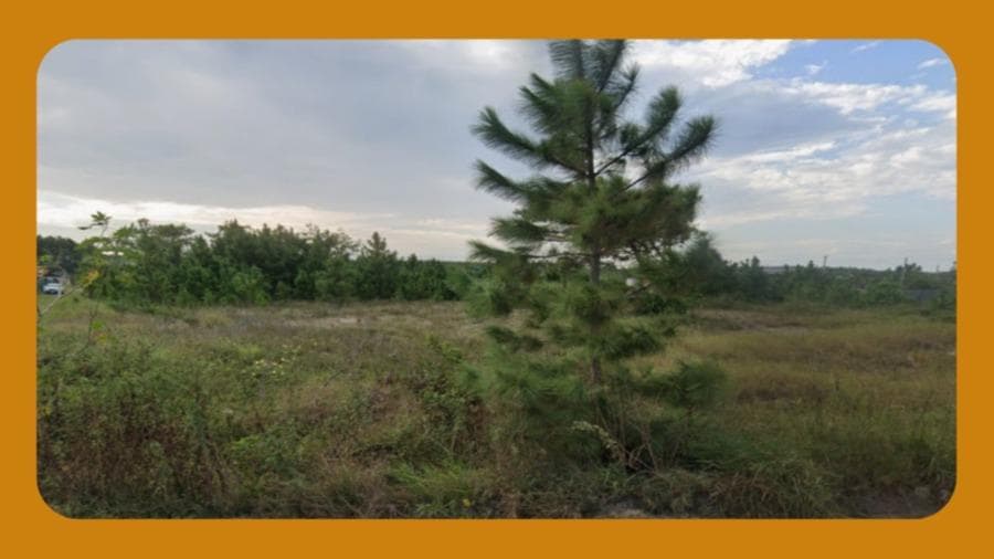 Foto 1 de 2: Terreno em leilão em Balneário Gaivota - SC — LOTE 20, QUADRA 08, NA PRAIA VALVERDE EM BALNEÁRIO GAIVOTA/SC, COM ÁREA DE 264M².__
