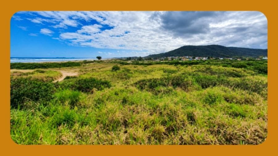 Foto 2 de 4: Terreno em leilão em Imbituba - SC — LOTE 20 DA QUADRA B-05, NO LOTEAMENTO SOLLAGE, IMBITUBA/SC. COM ÁREA DE 450,00M². __