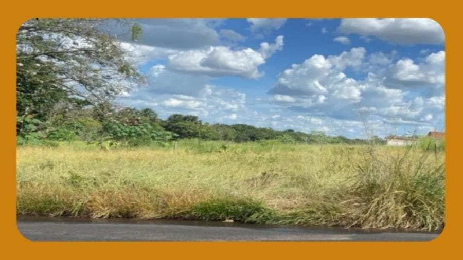 Foto 1 de 2: Terreno em leilão em Araripina - PE, bairro Distrito Industrial — LOTE DE TERRENO Nº 09, LOCALIZADO NO DISTRITO INDUSTRIAL, EM ARARIPINA/PE, COM ÁREA TOTAL DE 3.848,99 M².__